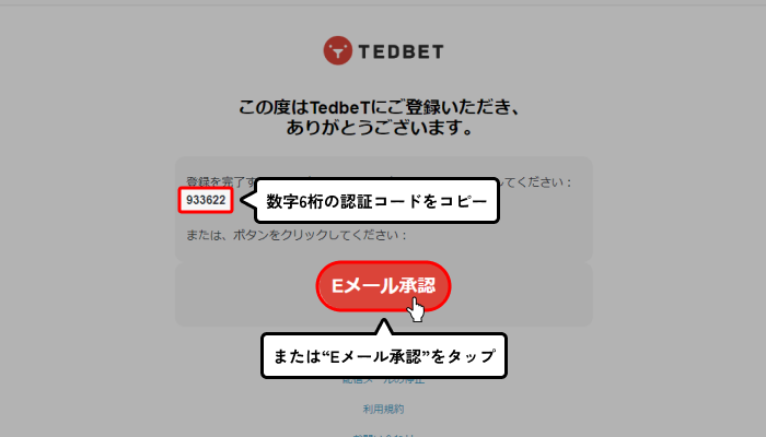 テッドベット入金不要ボーナス受取方法（メール認証画面）